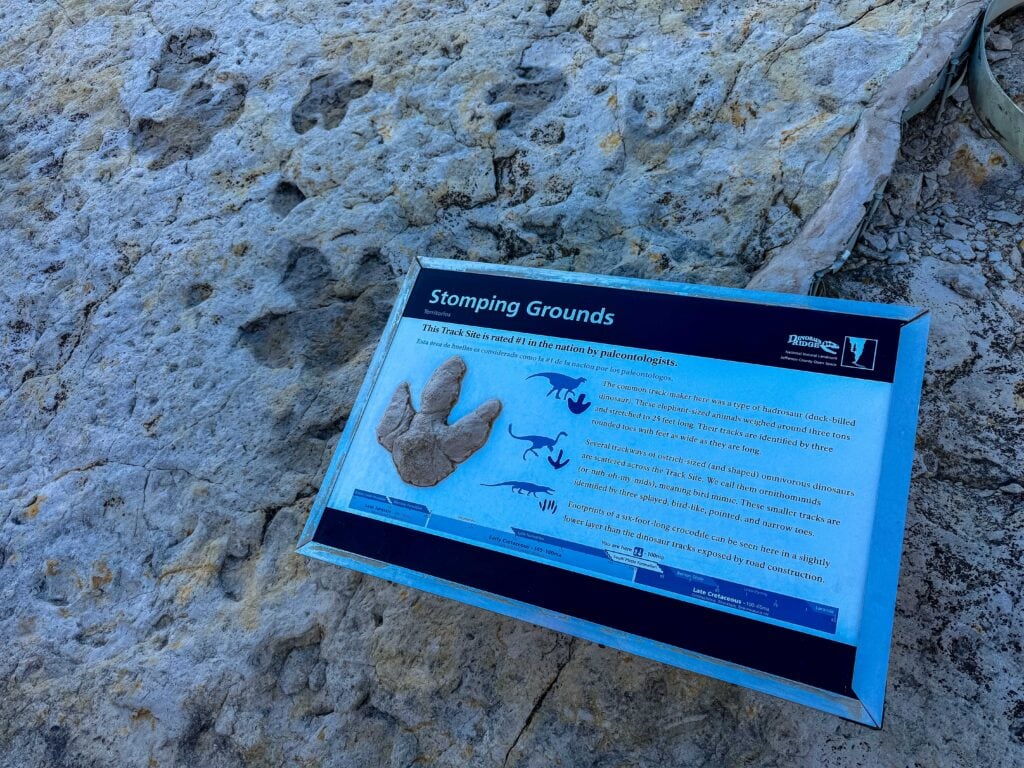 National park interpretive sign about dinosaur tracks or fossils displayed on white rock