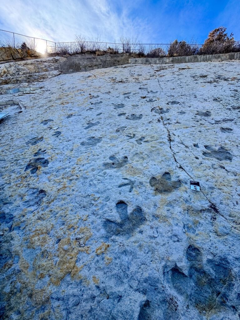 dinosaur tracks on the rocks near denver colorado