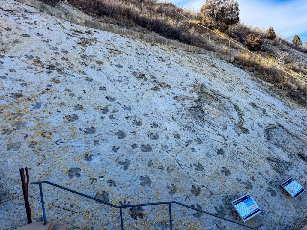 dinosaur tracks on the rocks near denver colorado
