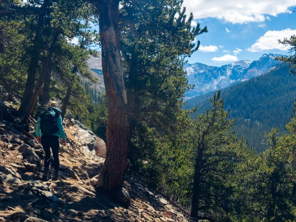 Person hiking on a rocky trail beside a large pine tree with mountains visible below
