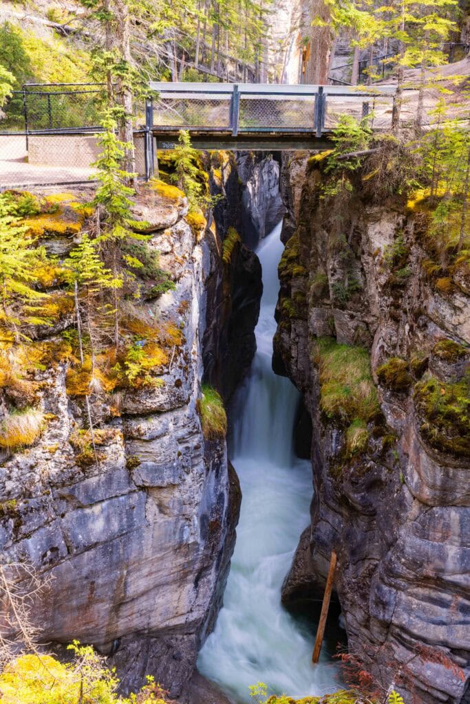 views alongside the maligne canyon hike in jasper national park