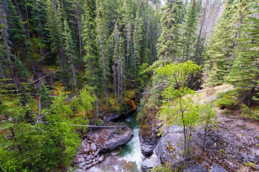 views alongside the maligne canyon hike in jasper national park