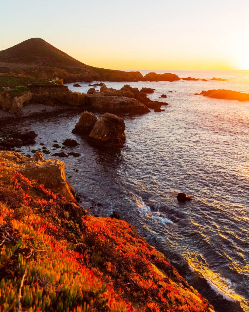 Golden hour light illuminating red and orange ice plant above a rocky Big Sur cove