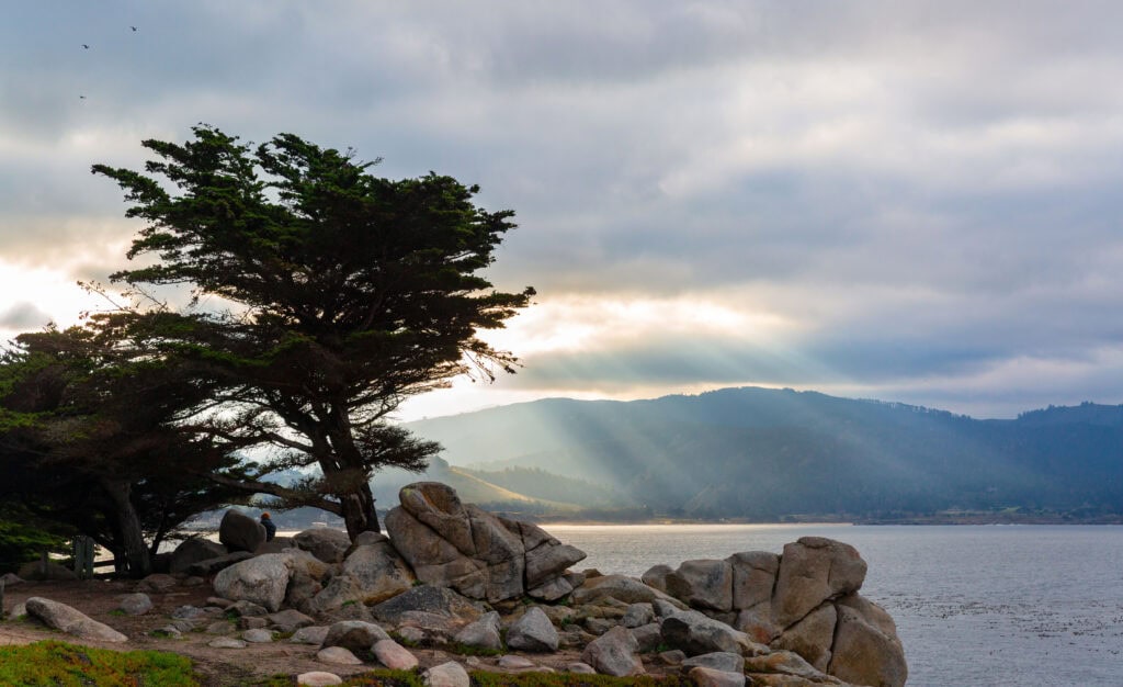 A lone Monterey cypress beside rocky boulders with dramatic sunset rays breaking through storm clouds