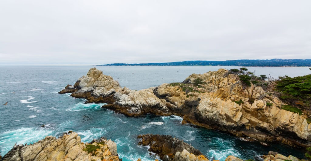Rocky sea stack rising from a calm cove surrounded by colorful coastal scrub