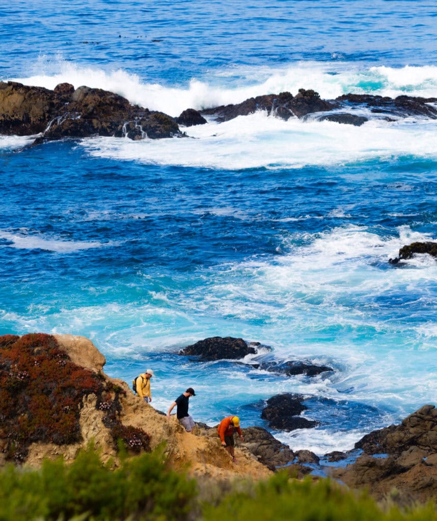 hikers walking on a coastal bluff overlooking sea stacks and crashing surf