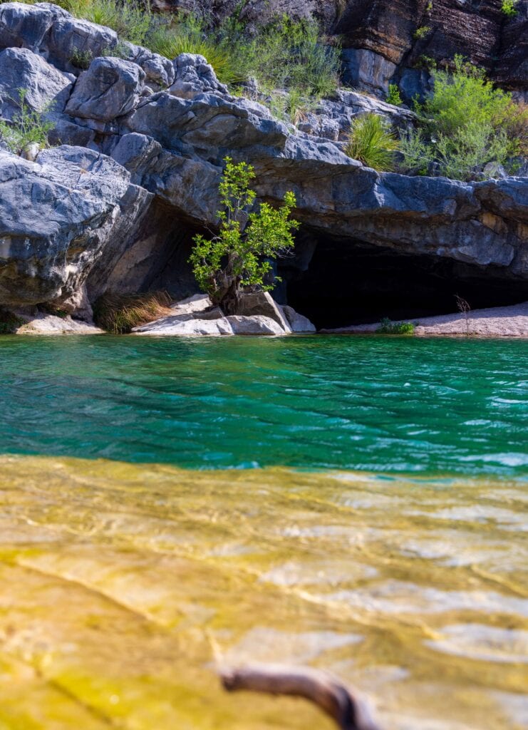 a low angle shot of the water a pedernales falls state park with a tree and rock on the far shore