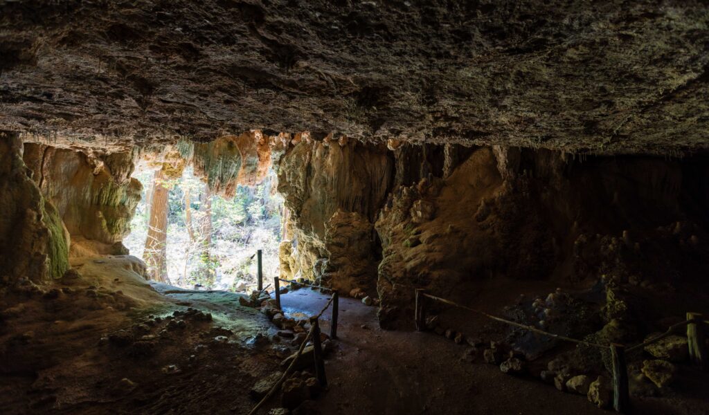 an accessible cave that you can walk into at the west cave discovery center