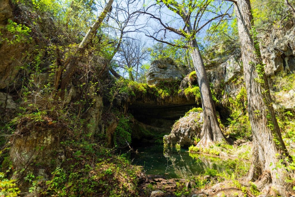 looking into the grotto at the west cave discovery center in texas