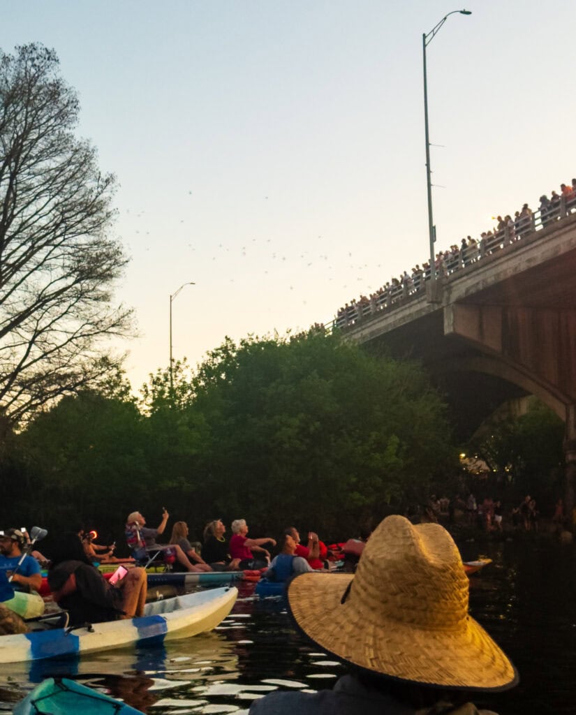 kayakers on lady bird lake watch bats fly out from under the bridge in austin texas