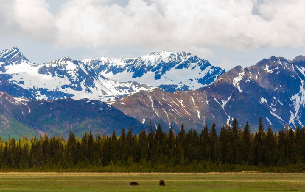 Mountains and boreal forest under moody overcast sky