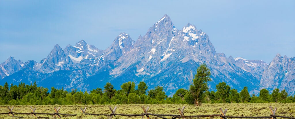 Snow-capped Teton peaks seen across an open meadow on a clear day