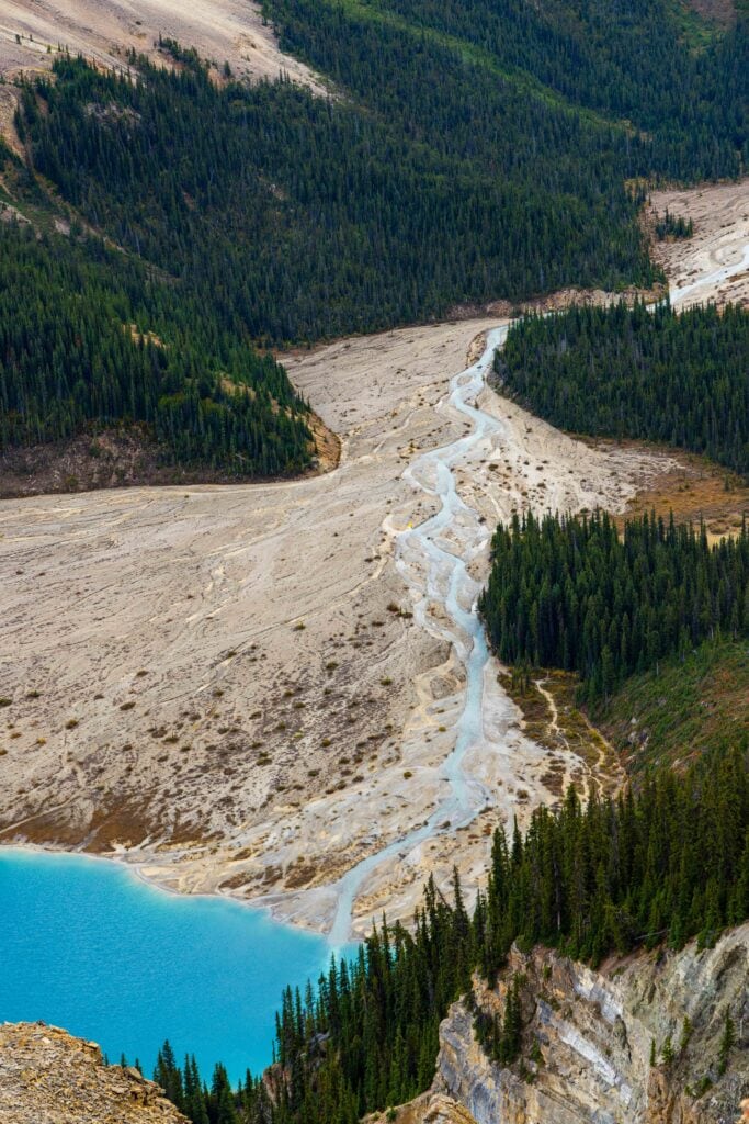 a river runs through the dirt with trees on the right side
