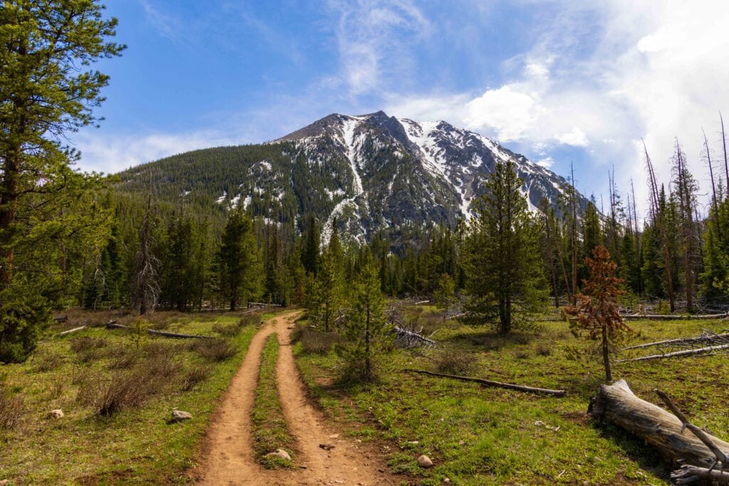 two track trail looking at buffalo mountain on the way to wallace creek falls