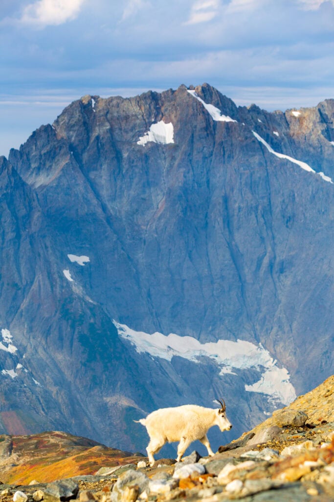 A glacier-carved valley stretches between rocky ridgelines with snow and ice visible in the distance