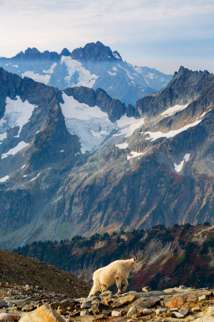 A steep mountain ridge with snow patches and rocky terrain under blue skies