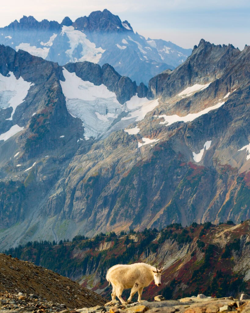 Jagged snow-patched peaks rise sharply under an overcast sky in a high alpine landscape