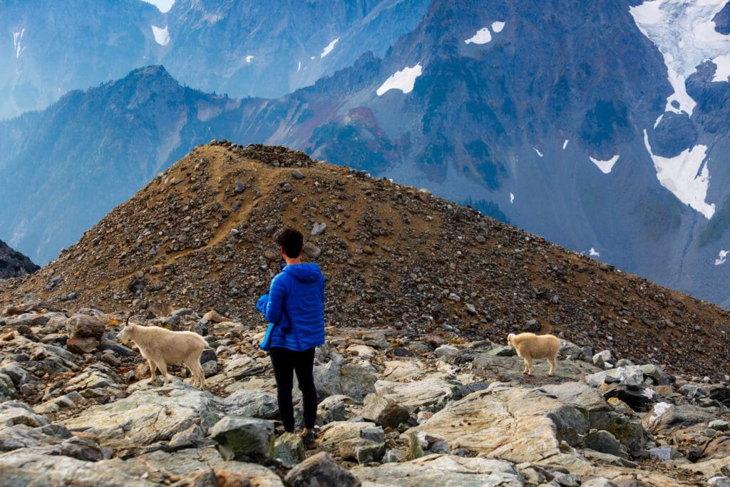 A hiker in a blue jacket stands among large boulders on a rocky alpine slope with distant peaks behind them