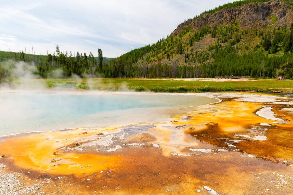 Turquoise hot spring with white mineral deposits and scattered pines