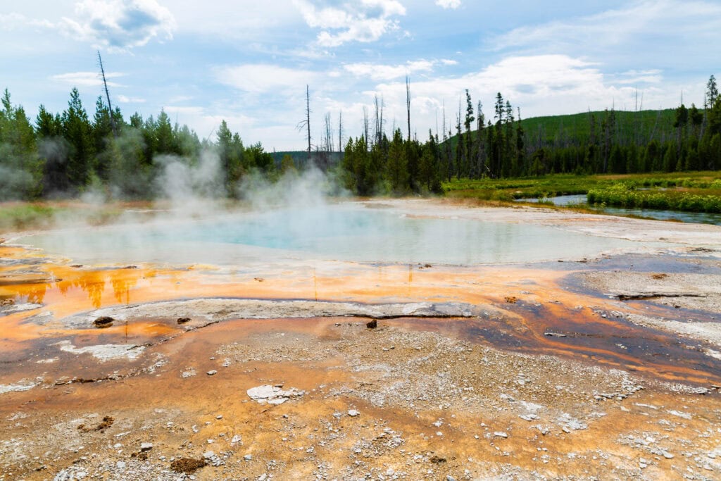 Turquoise hot spring with white mineral deposits and scattered pines