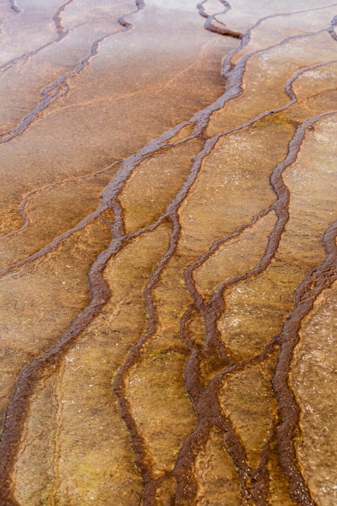 Close-up abstract of cracked thermal mineral deposits in tan and brown