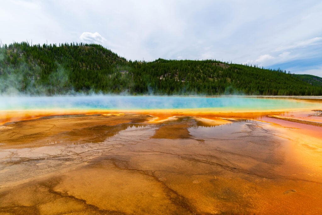 view of Grand Prismatic Spring's golden thermal channels