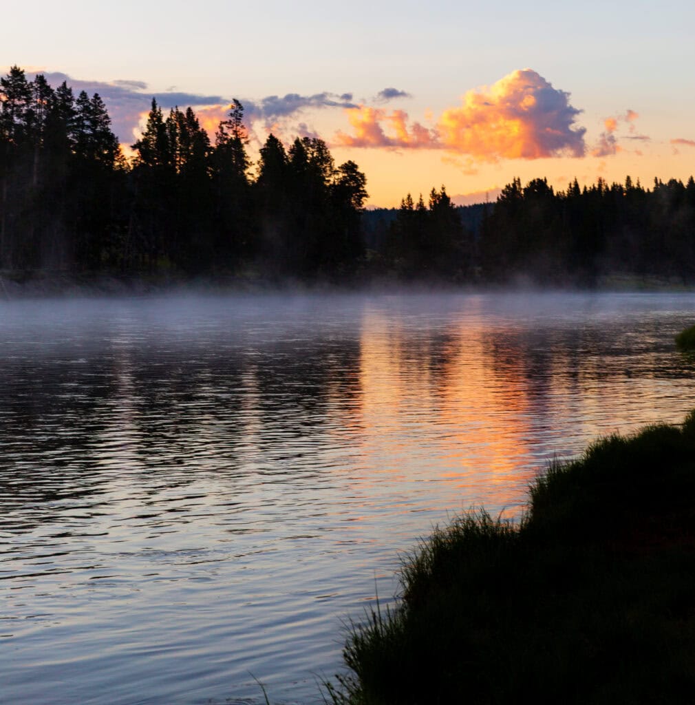 Golden sunrise reflected in a calm lake surrounded by pine trees