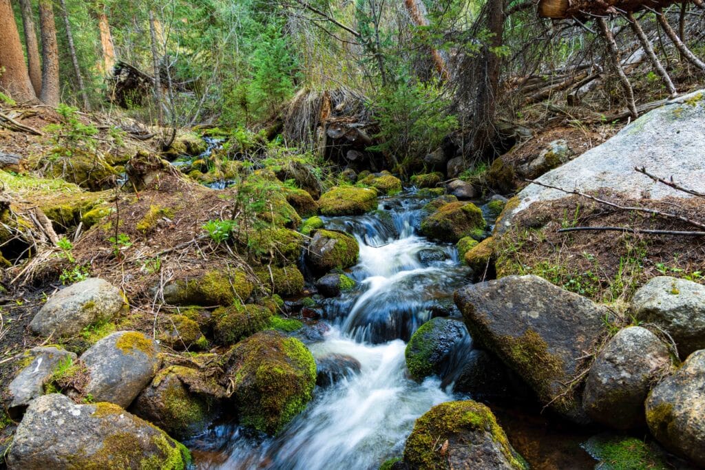 the willow creek you hike next to for the first and last part of the hike