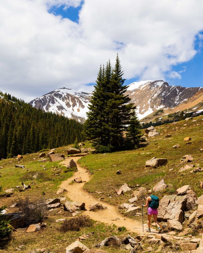 Evergreen tree beside a dirt trail with a mountain ridge in the distance on Herman Gulch Trail