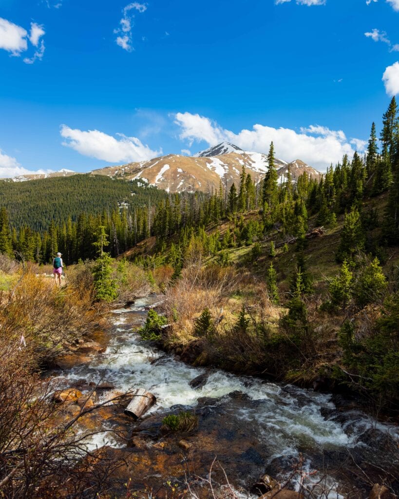 Winding alpine creek through a green valley framed by pine trees on Herman Gulch Trail