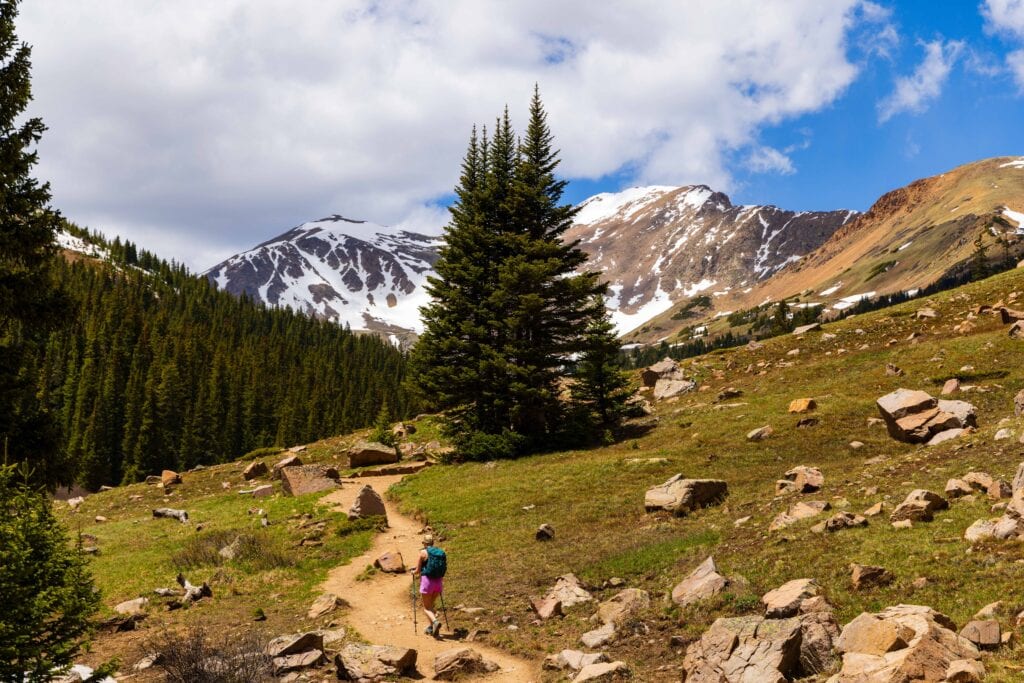 Evergreen tree along a rocky trail with snow-dusted peaks in the background, Herman Gulch Trail