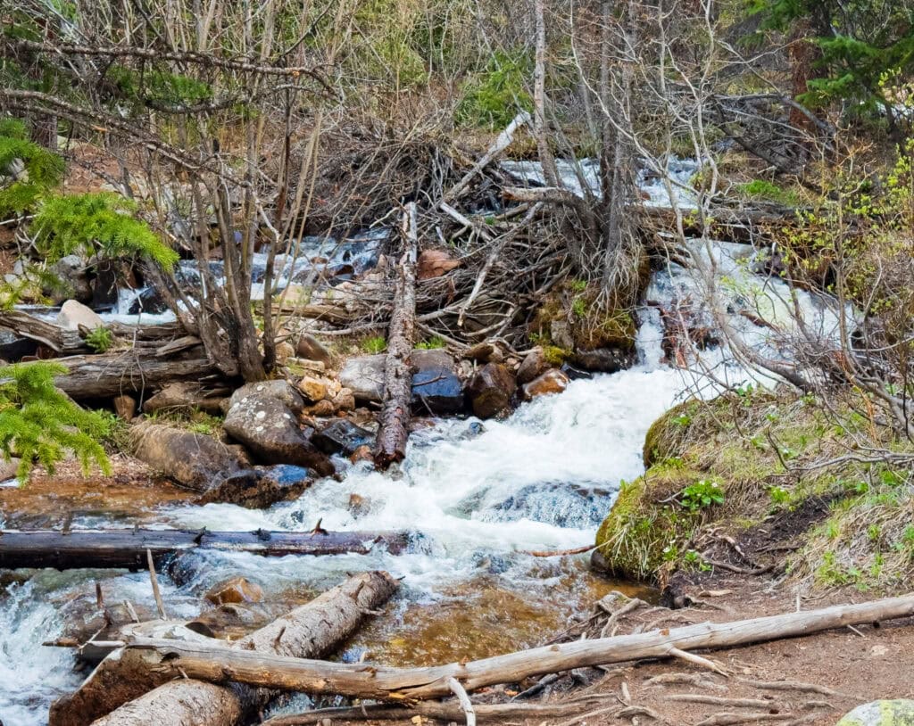 a waterfall along the trail surrounded by trees