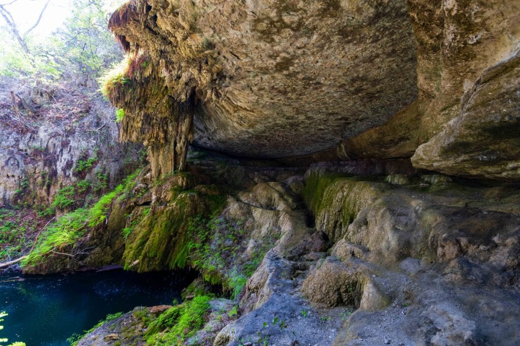 Wide view of the Westcave Grotto pool surrounded by cypress trees and a curved limestone overhang