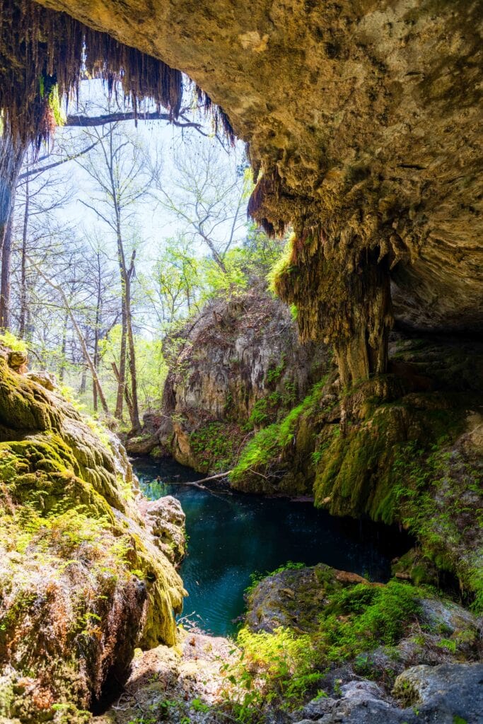 Textured golden limestone cave wall with patches of green moss in the Westcave canyon