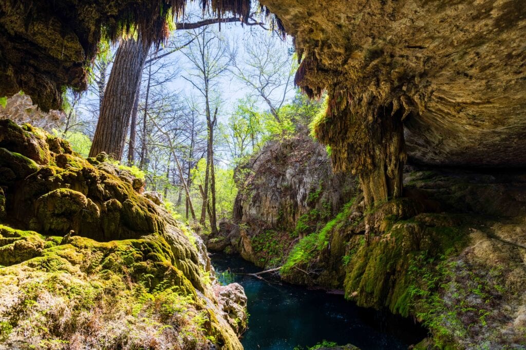 Moss-covered limestone rock face with bright green foliage at Westcave Outdoor Discovery Center