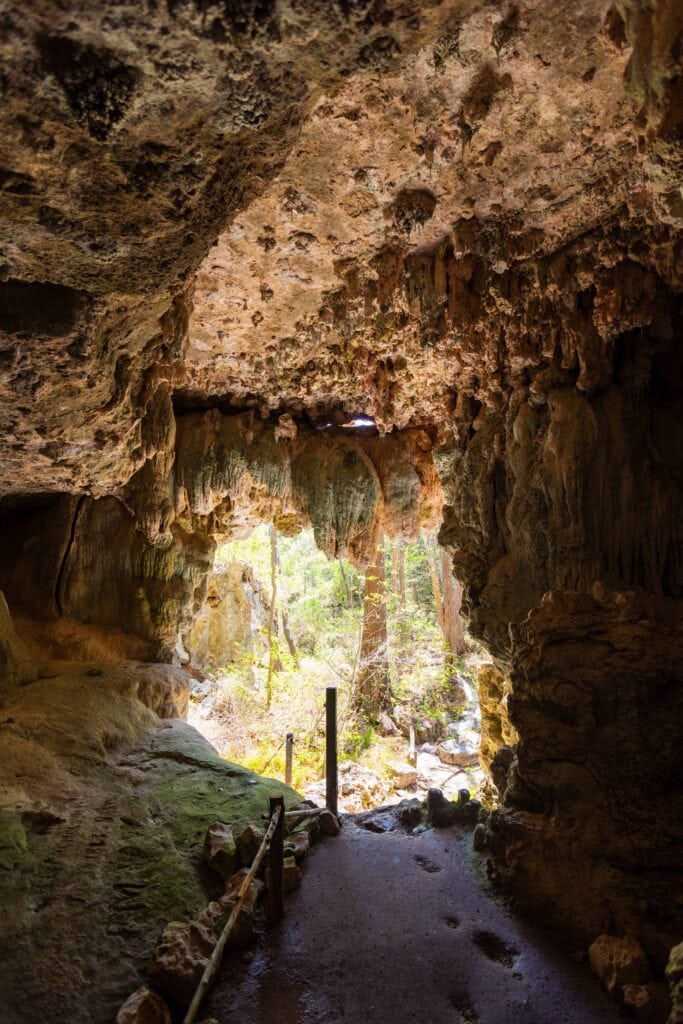 Looking out from inside a cave toward a bright natural opening framed by rocky walls