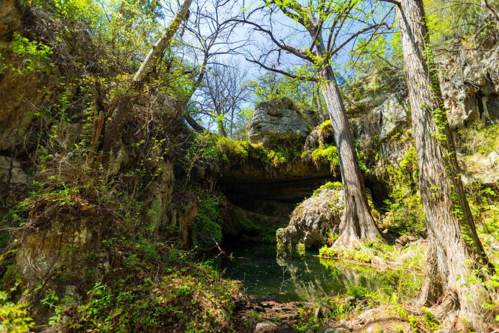 Moss-covered canyon walls and cypress trees reflected in the calm green waters of the Westcave Grott