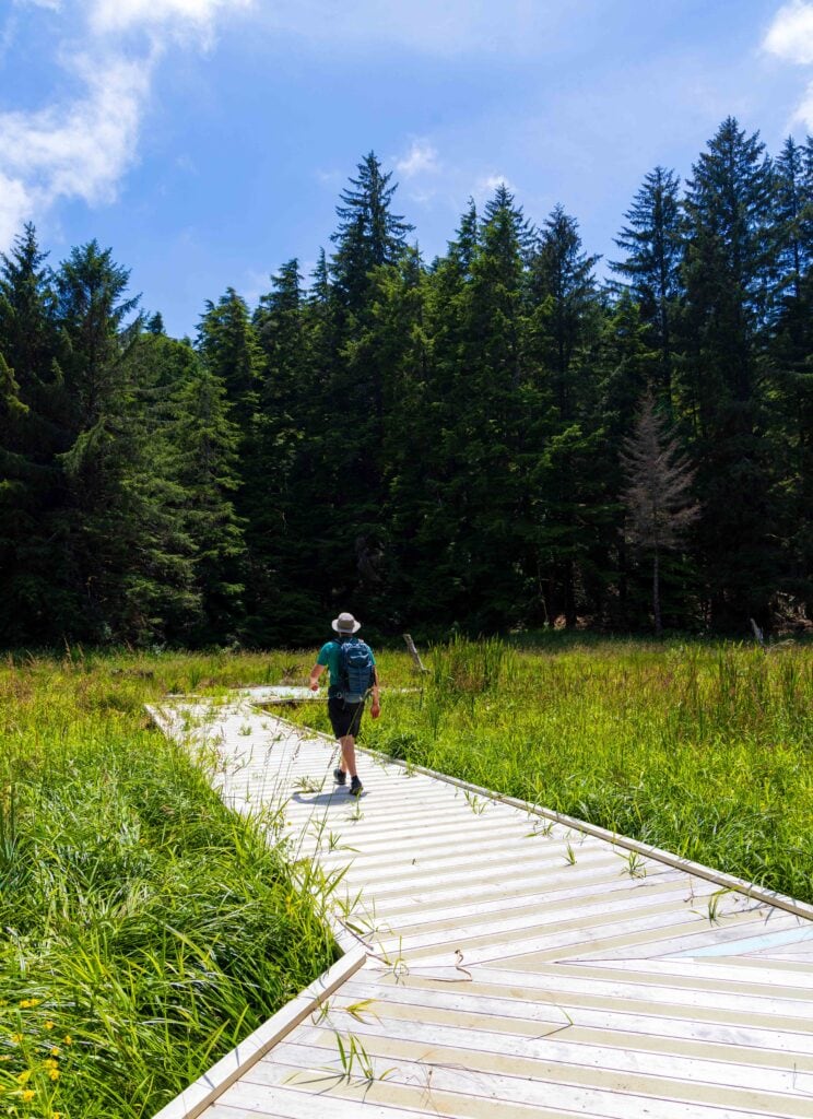 A hiker walks on a boardwalk in an estuary in oregon