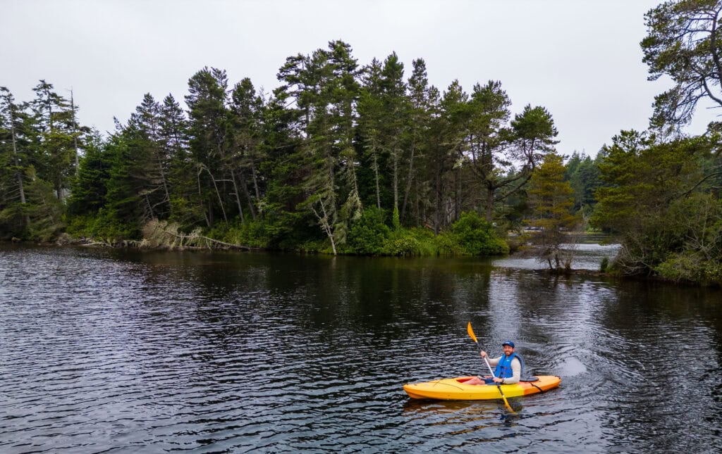 Small forested island in a calm bay