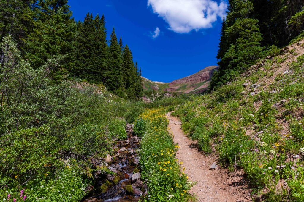 a trail in the middle of the image, on the four pass loop in colorado