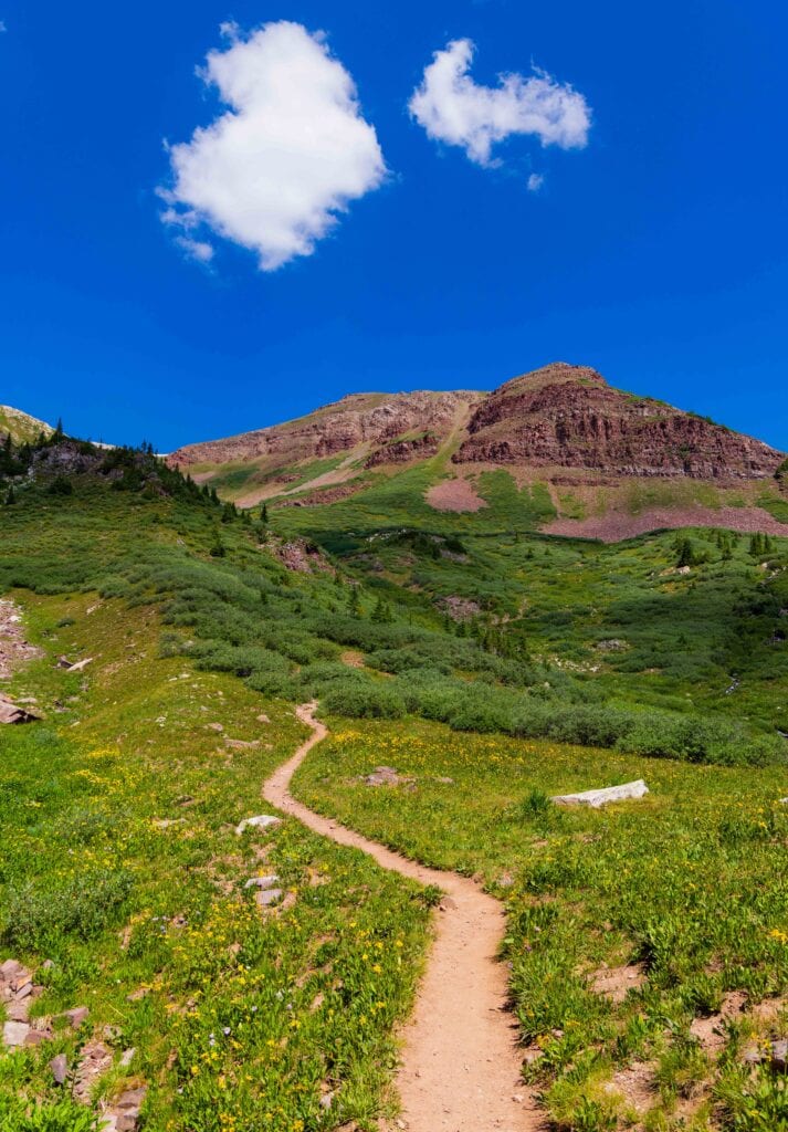 a trail in the middle of the image, on the four pass loop in colorado
