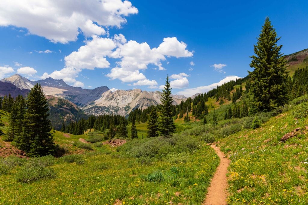 a trail cuts through the landscpae with trees and mountains