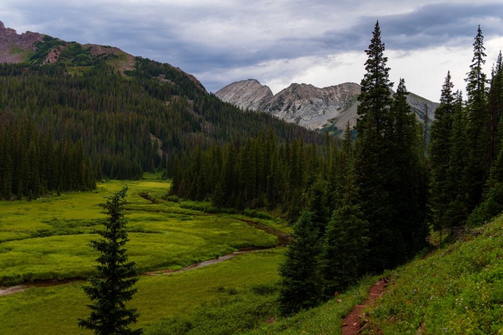 a green meadow with trees on the four pass loop in colorado