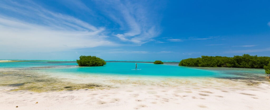 a woman paddleboards on turquoise wates in belize