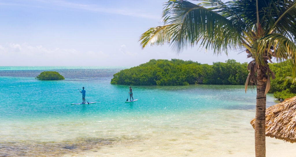 two people paddleboard on the water