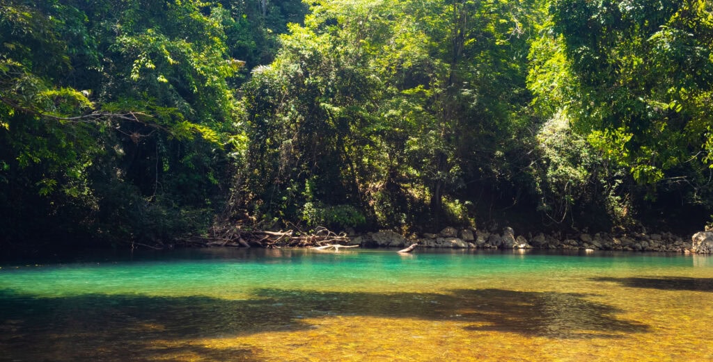 a river and jungle in belize