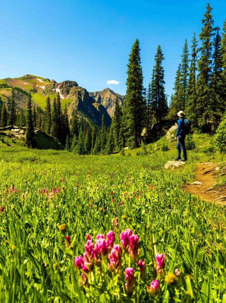 a hiker stands on the trail looking out at the mountains and trees