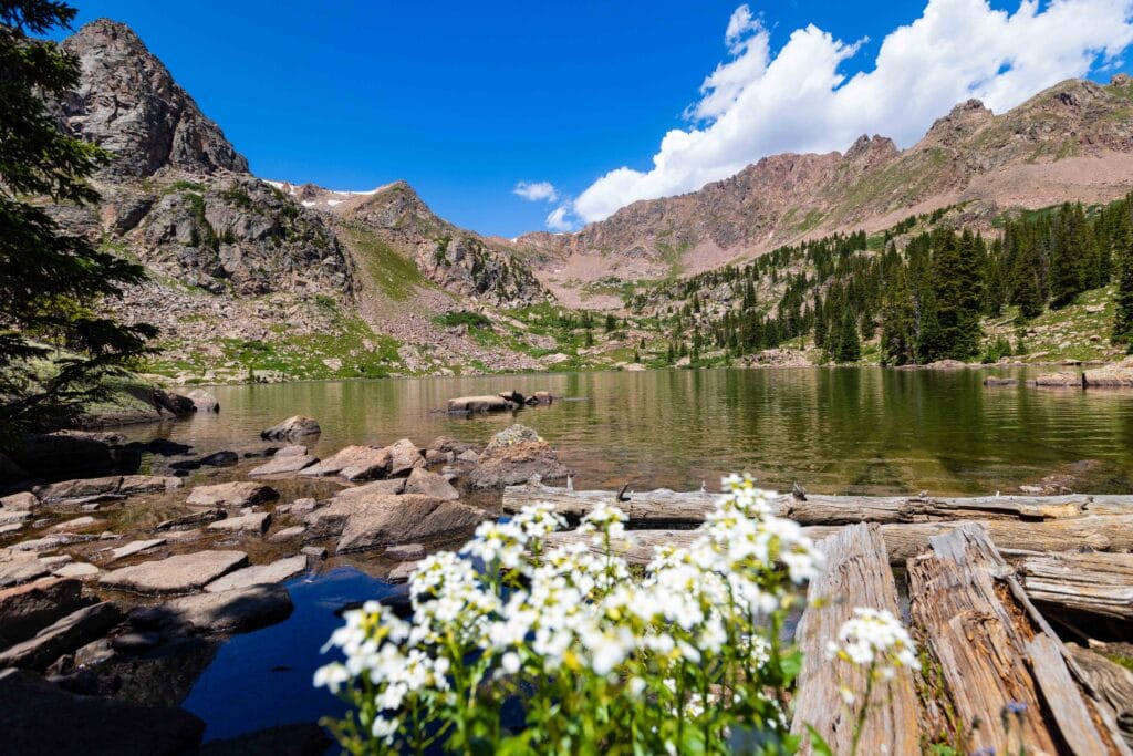gore lake with white flowers in the foreground