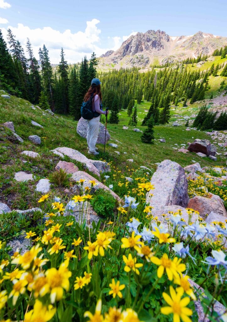 a hiker looks out with yellow flowers in the foregorund