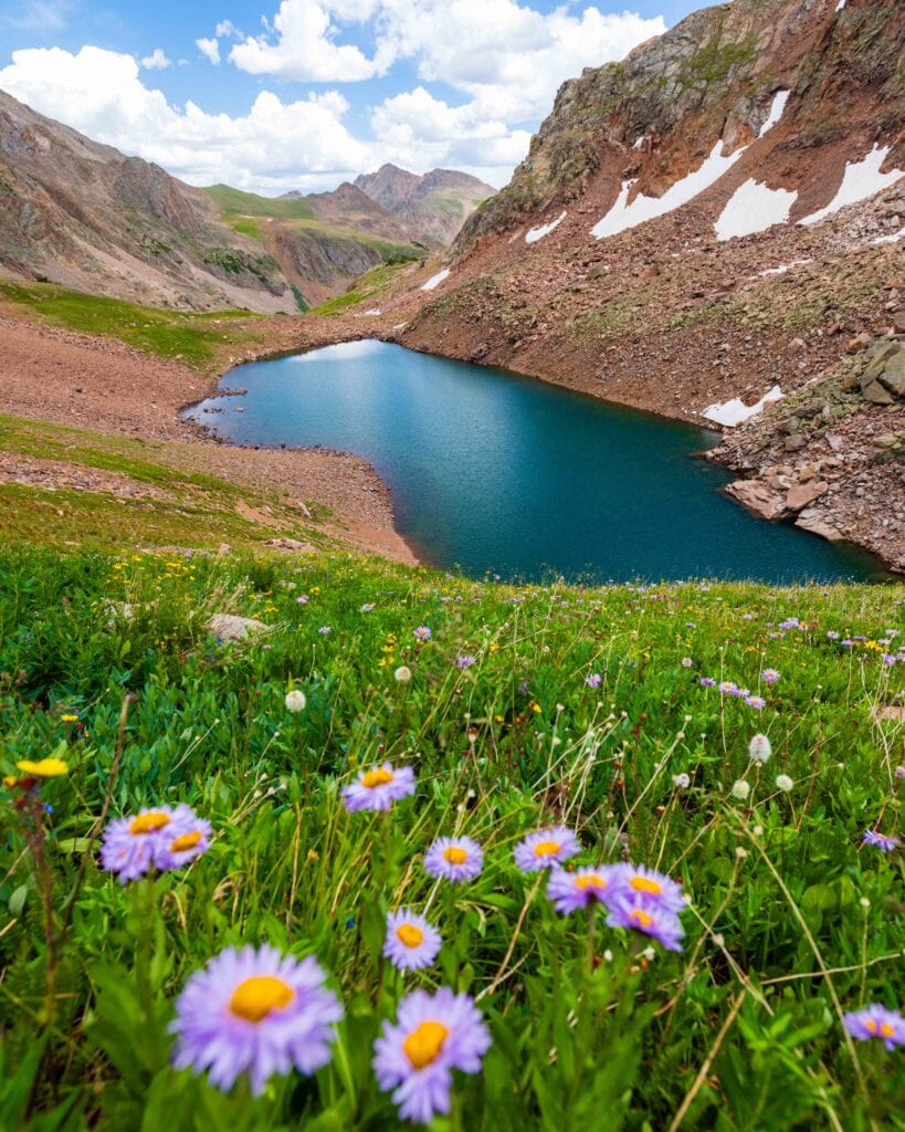 pink and yellow flowers above snow lake